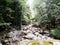 The Falls walk@ Minnamurra RainforestÂ in Budderoo National Park